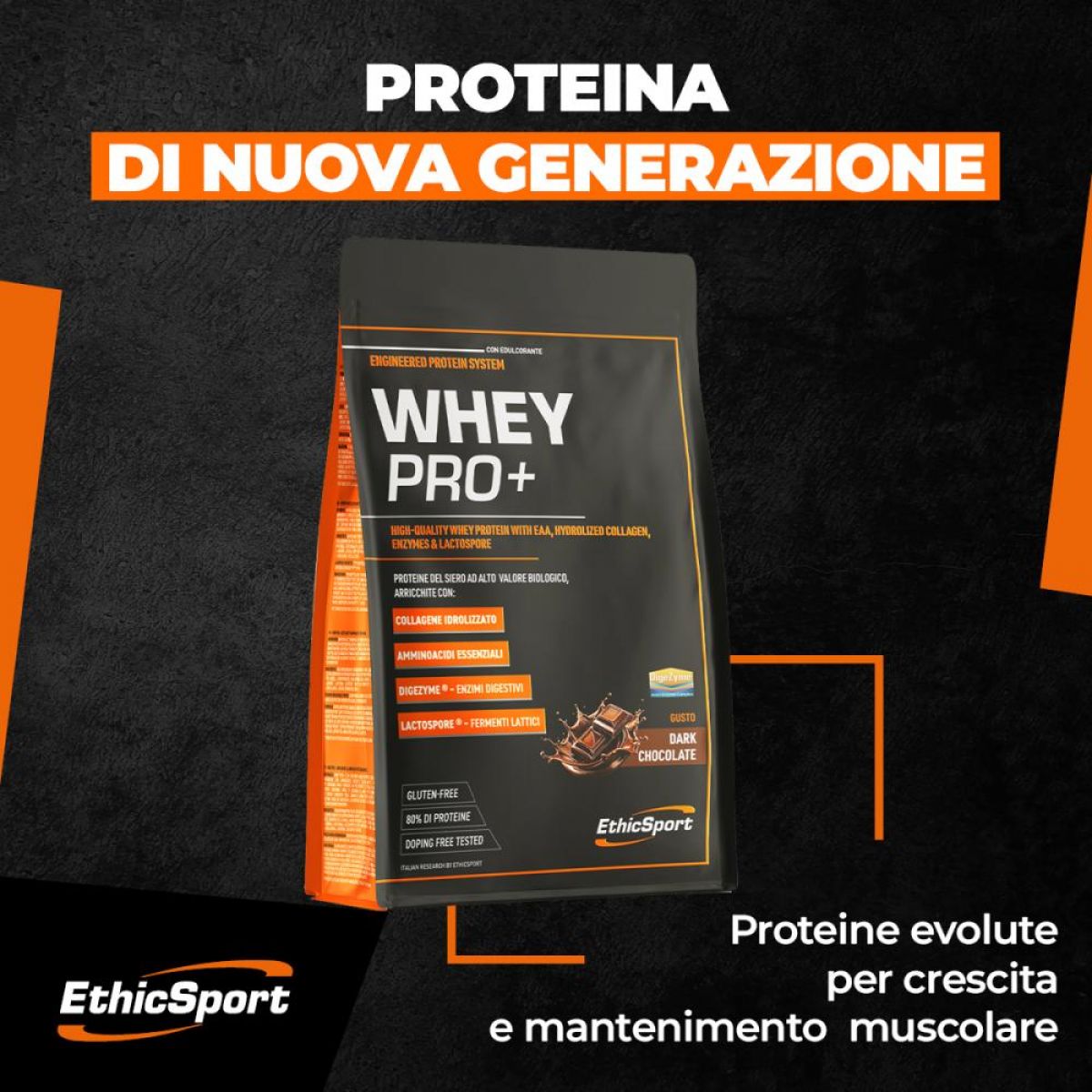 Proteine ETHIC SPORT WHEY PRO + CON COLLAGENE IDROLIZZATO, EAA, LACTOSPORE® E DIGEZYME®.  Busta 700 gr