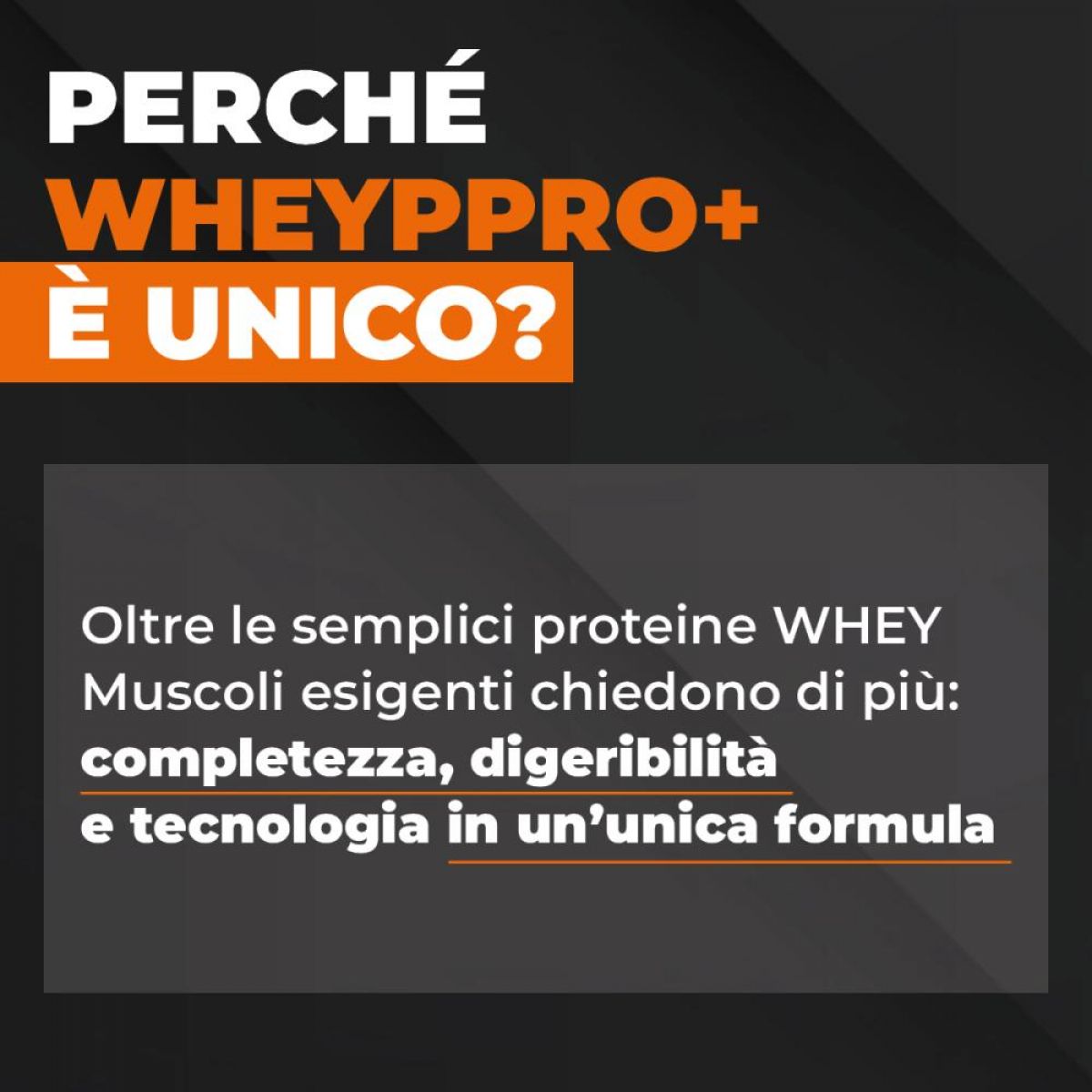 Proteine ETHIC SPORT WHEY PRO + CON COLLAGENE IDROLIZZATO, EAA, LACTOSPORE® E DIGEZYME®.  Busta 700 gr